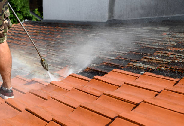 Best Roof Pressure Washing  in Elma Center, NY